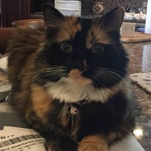 Meet your Posher, Karen